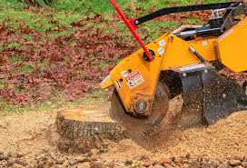 Best Lawn Renovation and Restoration  in South Plainfield, NJ